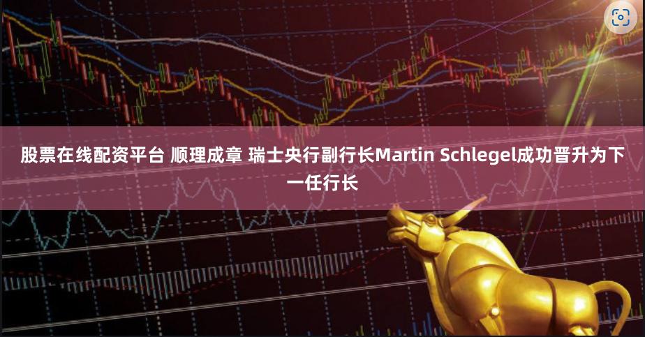 股票在线配资平台 顺理成章 瑞士央行副行长Martin Schlegel成功晋升为下一任行长