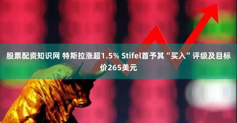 股票配资知识网 特斯拉涨超1.5% Stifel首予其“买入”评级及目标价265美元