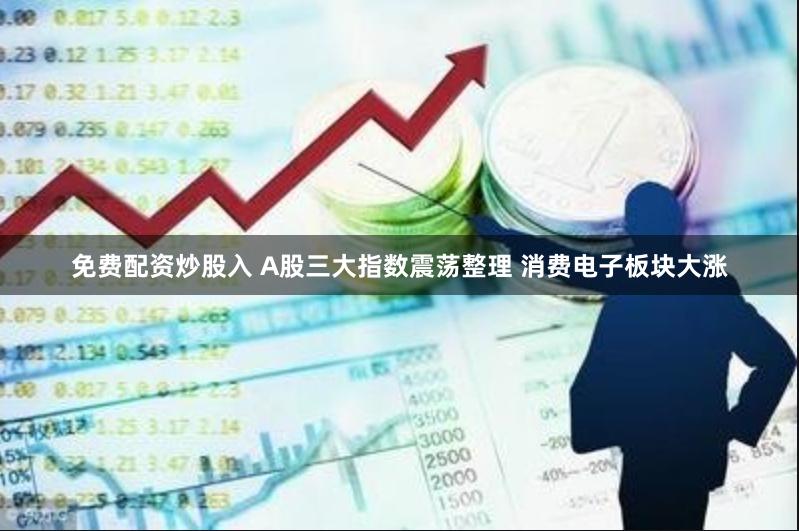 免费配资炒股入 A股三大指数震荡整理 消费电子板块大涨