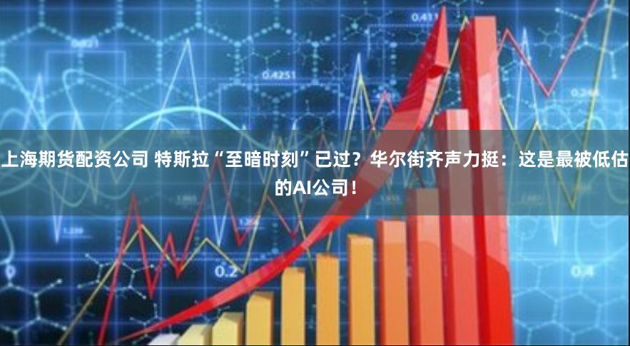 上海期货配资公司 特斯拉“至暗时刻”已过？华尔街齐声力挺：这是最被低估的AI公司！