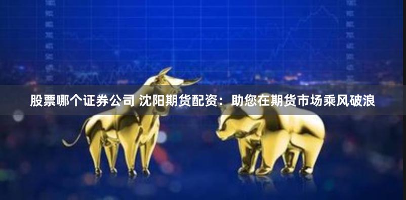 股票哪个证券公司 沈阳期货配资：助您在期货市场乘风破浪